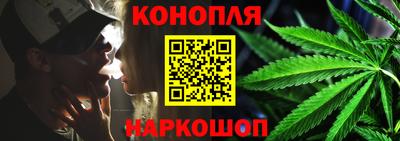 Альфа ПВП Малгобек