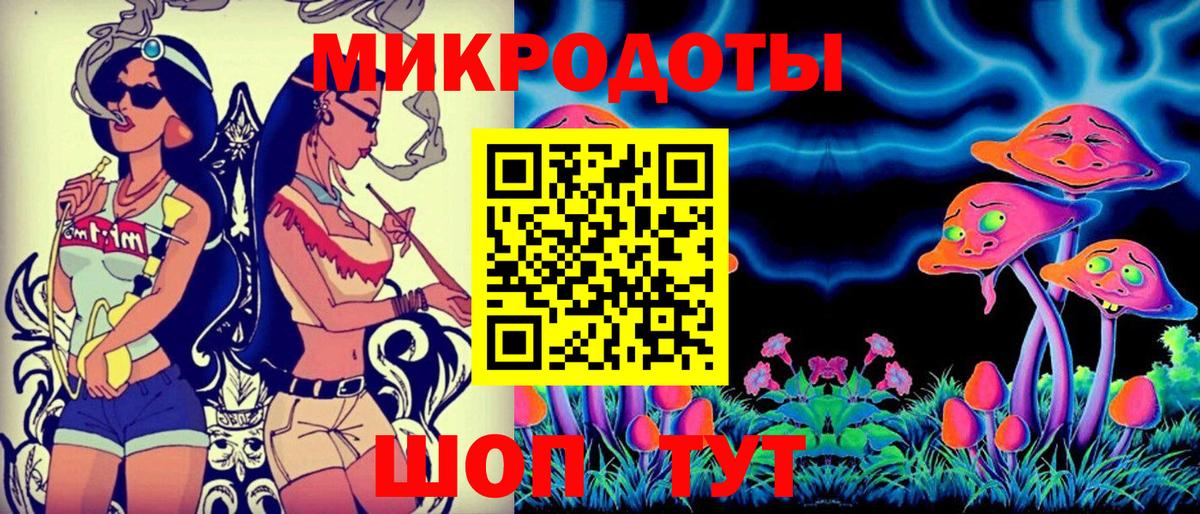 Псилоцибиновые грибы мицелий Дмитров